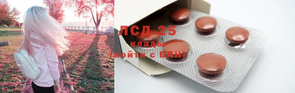 амф Алзамай