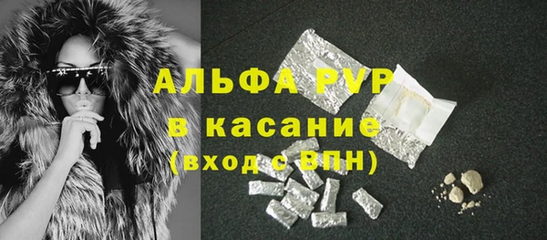 прущие грибы Протвино