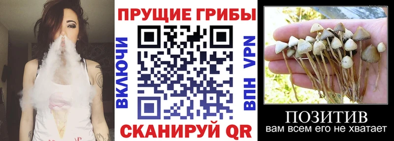 Псилоцибиновые грибы MAGIC MUSHROOMS Берёзовский